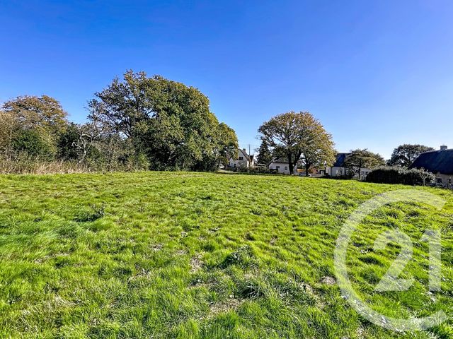 terrain à vendre - 1357.0 m2 - ST LYPHARD - 44 - PAYS-DE-LOIRE - Century 21 Les Salines