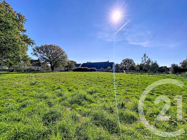 terrain à vendre - 1357.0 m2 - ST LYPHARD - 44 - PAYS-DE-LOIRE - Century 21 Les Salines