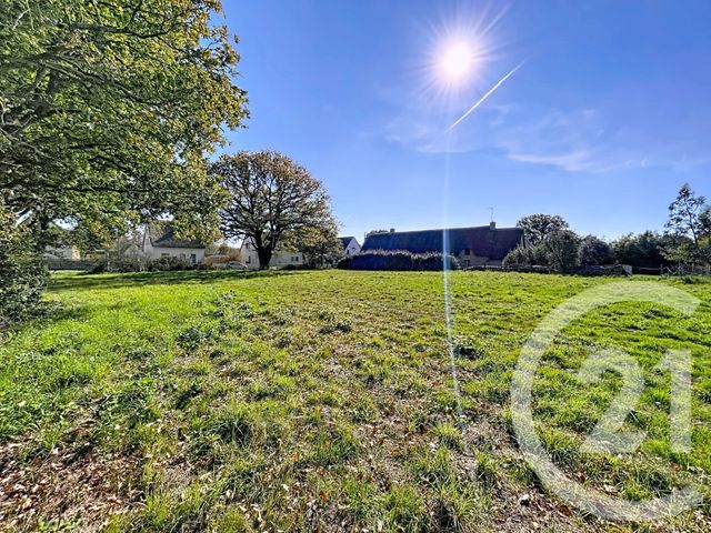 terrain à vendre - 1357.0 m2 - ST LYPHARD - 44 - PAYS-DE-LOIRE - Century 21 Les Salines