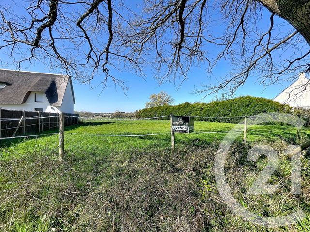 terrain à vendre - 1357.0 m2 - ST LYPHARD - 44 - PAYS-DE-LOIRE - Century 21 Les Salines