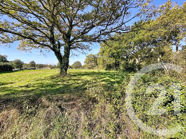 terrain à vendre - 1338.0 m2 - ST LYPHARD - 44 - PAYS-DE-LOIRE - Century 21 Les Salines