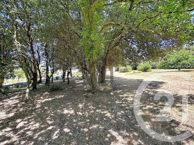 maison à vendre - 12 pièces - 212.35 m2 - LA TURBALLE - 44 - PAYS-DE-LOIRE - Century 21 Les Salines