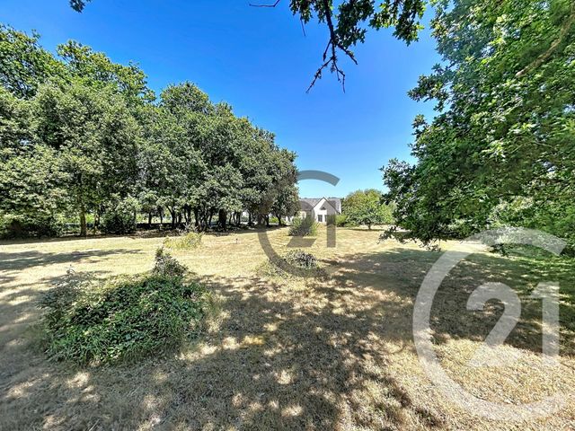 maison à vendre - 12 pièces - 212.35 m2 - LA TURBALLE - 44 - PAYS-DE-LOIRE - Century 21 Les Salines