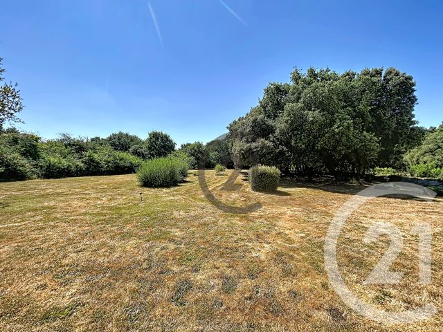 maison à vendre - 12 pièces - 212.35 m2 - LA TURBALLE - 44 - PAYS-DE-LOIRE - Century 21 Les Salines
